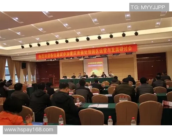 深入分析重庆羽毛球队的运营策略与发展模式探讨